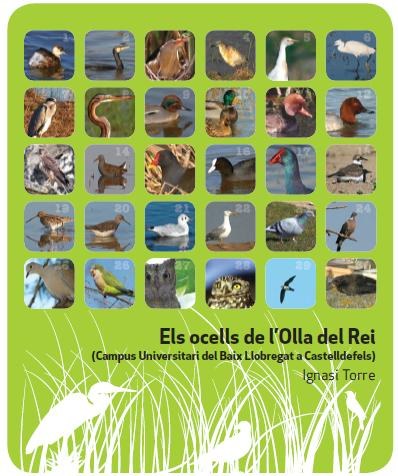 Els ocells de l'Olla del Rei