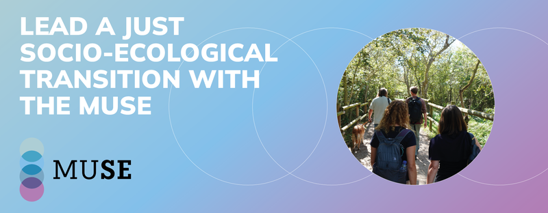 University Master's Degree in Sustainability and Strategies for a Just Global Transition University Master's Degree in Sustainability and Strategies for a Just Global Transition